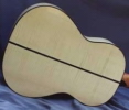 maple
