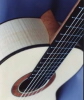 traditional fretboard