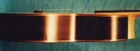 elevated fretboard